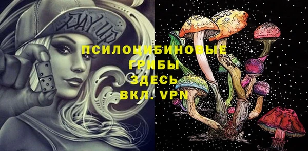героин Алексин