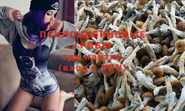 мдпв Алзамай