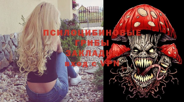 PSILOCYBIN Россошь